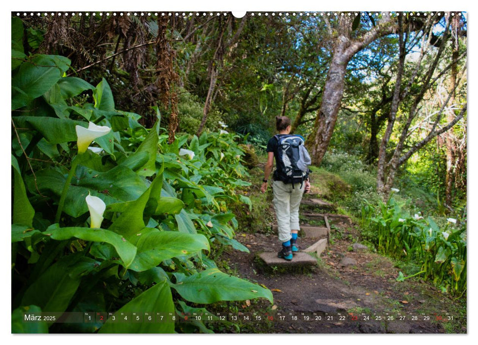 La Réunion - Impressionen von Rolf Dietz (CALVENDO Premium Wandkalender 2025)