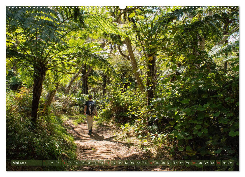 La Réunion - Impressionen von Rolf Dietz (CALVENDO Premium Wandkalender 2025)