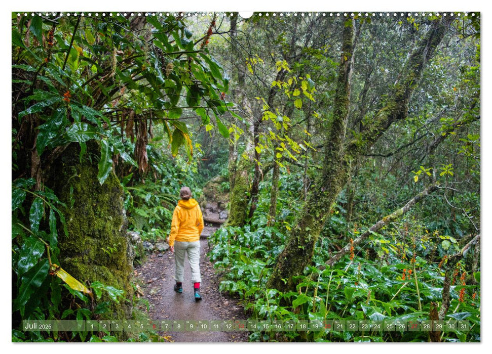 La Réunion - Impressionen von Rolf Dietz (CALVENDO Premium Wandkalender 2025)