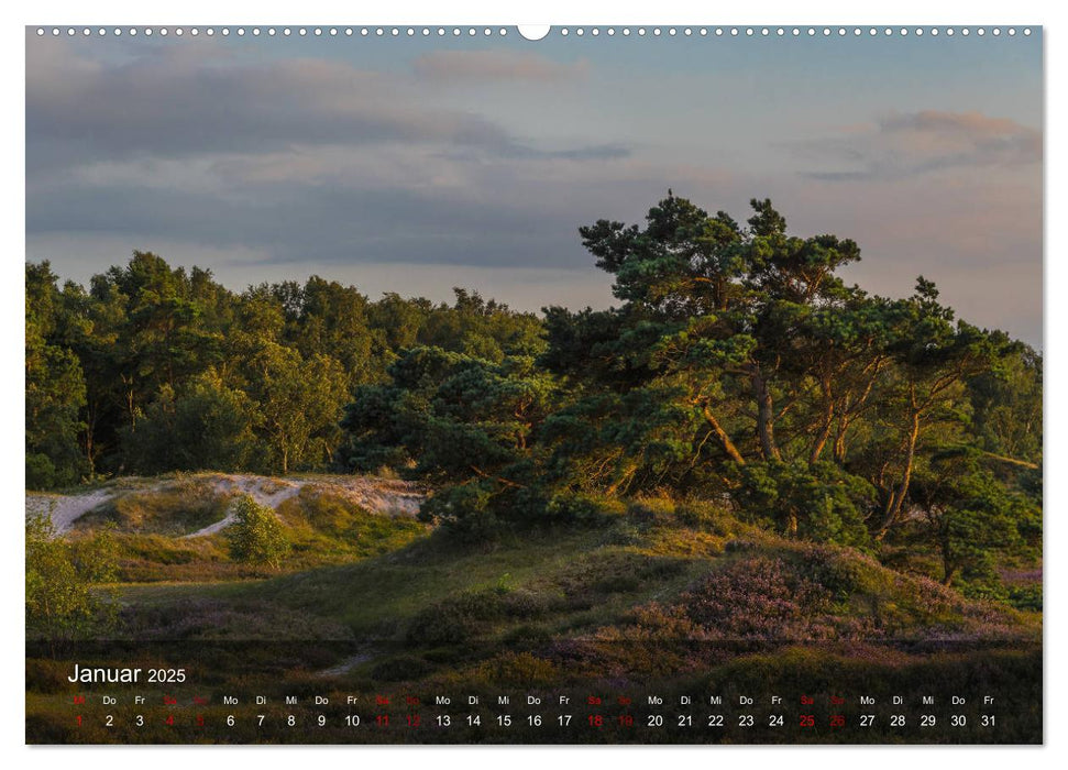 Insel Hiddensee - Wildromantisch unberührt (CALVENDO Premium Wandkalender 2025)