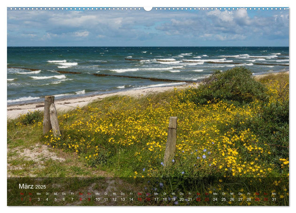 Insel Hiddensee - Wildromantisch unberührt (CALVENDO Premium Wandkalender 2025)