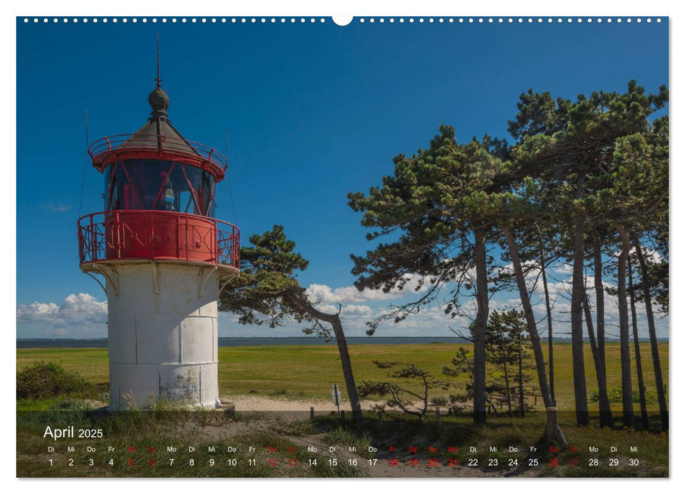 Insel Hiddensee - Wildromantisch unberührt (CALVENDO Premium Wandkalender 2025)