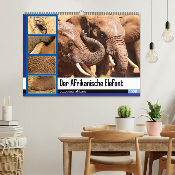 Der Afrikanische Elefant - Loxodonta africana (CALVENDO Wandkalender 2025)