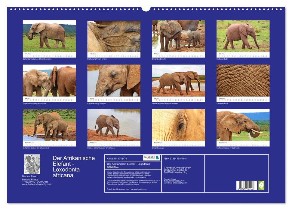 Der Afrikanische Elefant - Loxodonta africana (CALVENDO Wandkalender 2025)