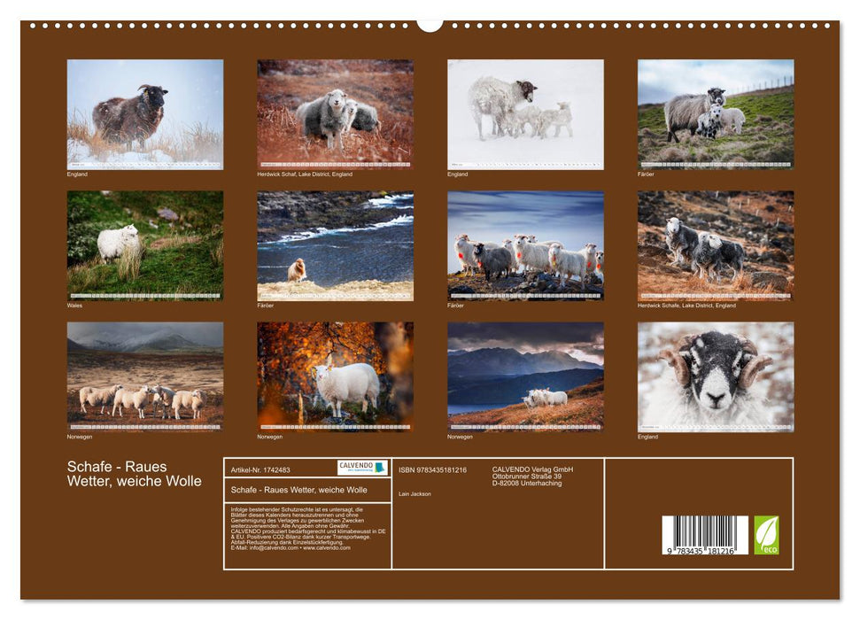 Schafe - Raues Wetter, weiche Wolle (CALVENDO Premium Wandkalender 2025)