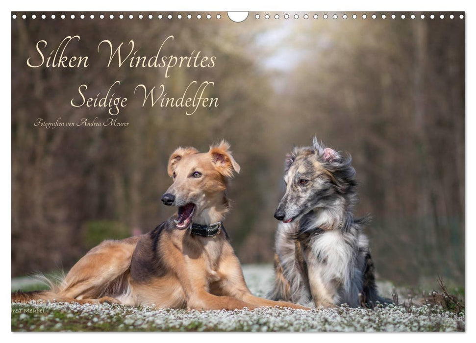 Silken Windsprites - Seidige Windelfen (CALVENDO Wandkalender 2025)