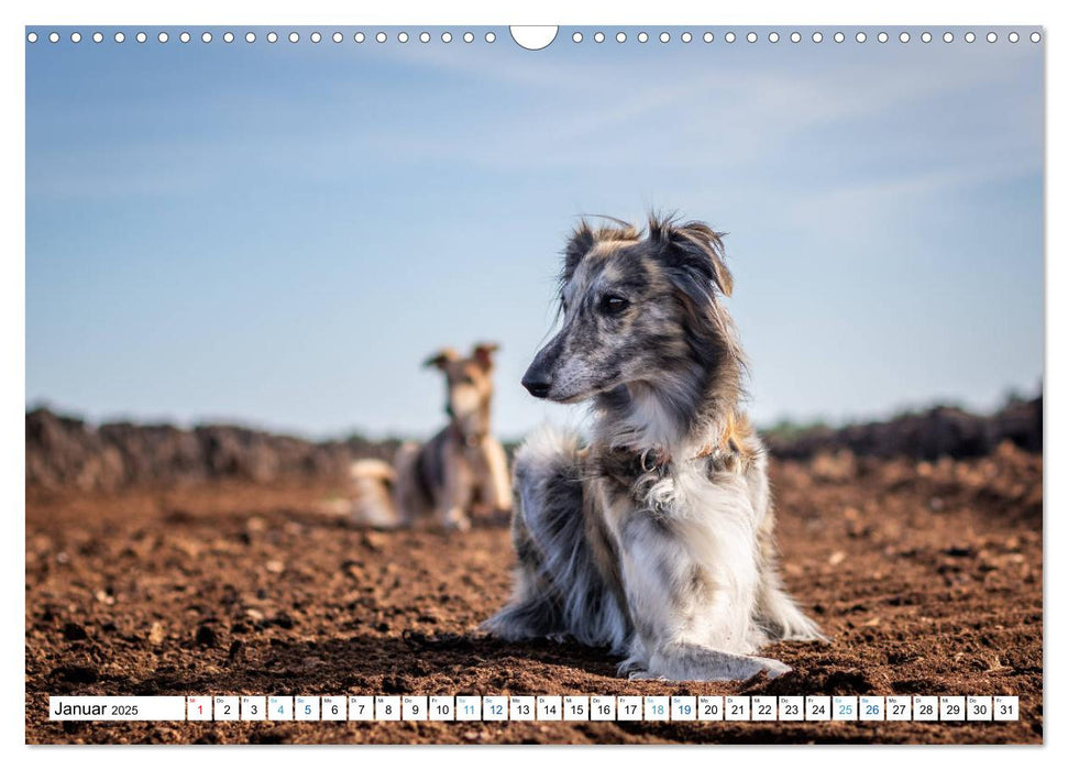 Silken Windsprites - Seidige Windelfen (CALVENDO Wandkalender 2025)