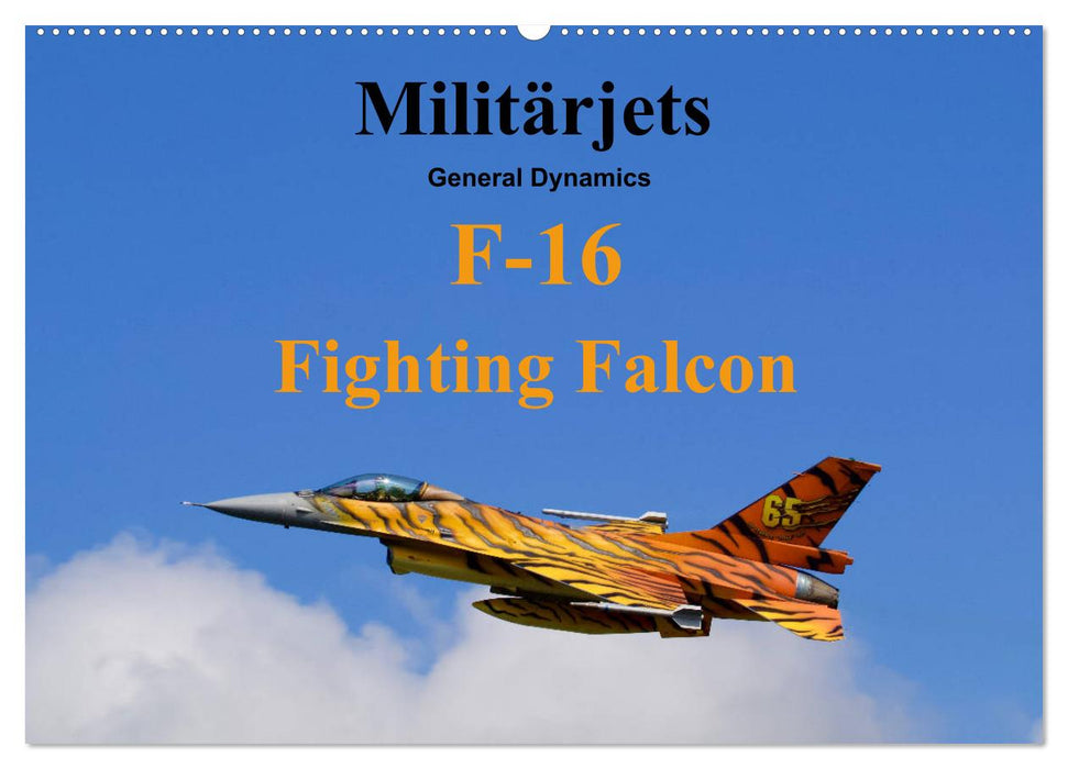 Militärjets General Dynamics F-16 Fighting Falcon (CALVENDO Wandkalender 2025)