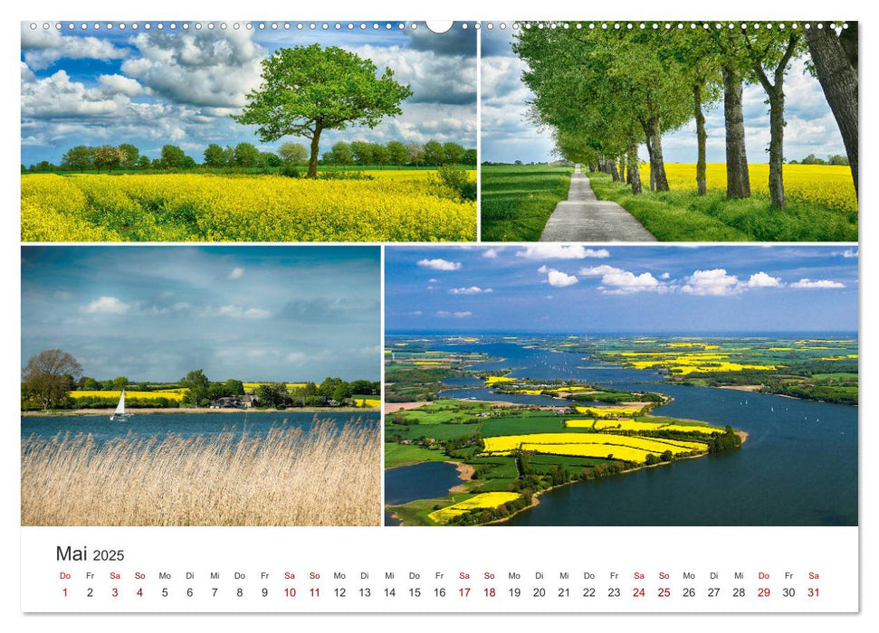 Schleswig-Holsteinische Impressionen (CALVENDO Premium Wandkalender 2025)