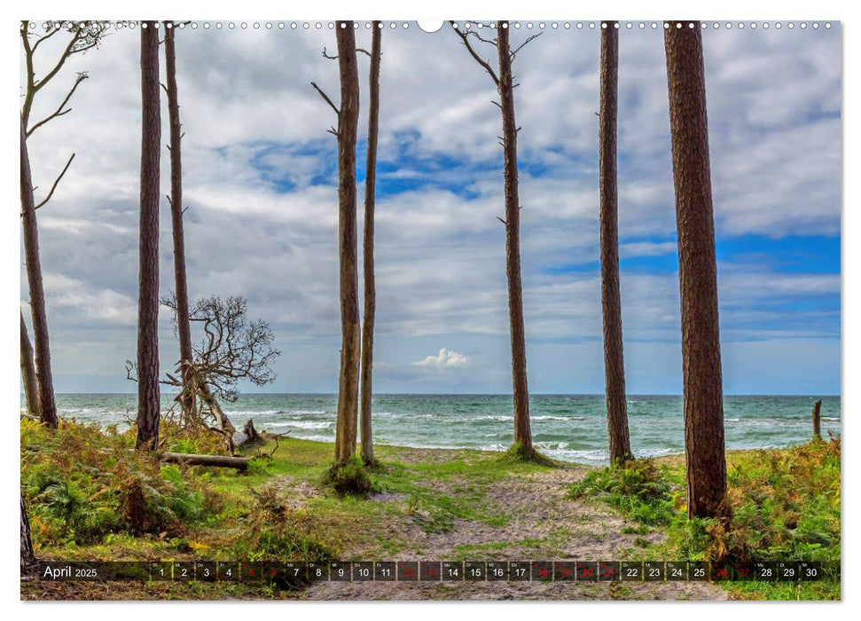 Impressionen von der Ostsee Fischland-Darß-Zingst (CALVENDO Premium Wandkalender 2025)