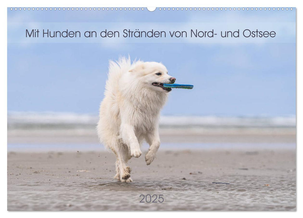 Mit Hunden an den Stränden von Nord- und Ostsee (CALVENDO Wandkalender 2025)