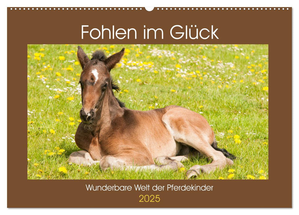 Fohlen im Glück - Wunderbare Welt der Pferdekinder (CALVENDO Wandkalender 2025)