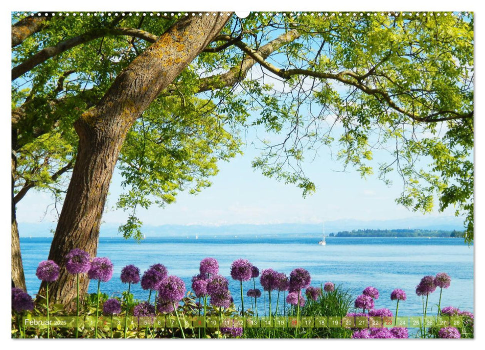 Farbenfroh Bodensee (CALVENDO Premium Wandkalender 2025)