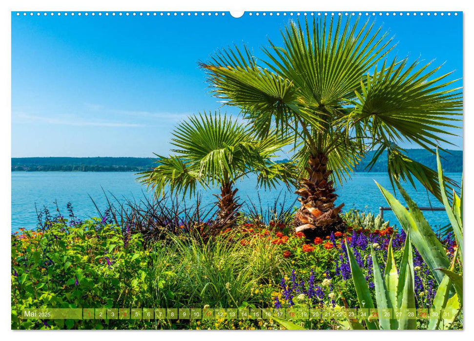 Farbenfroh Bodensee (CALVENDO Premium Wandkalender 2025)