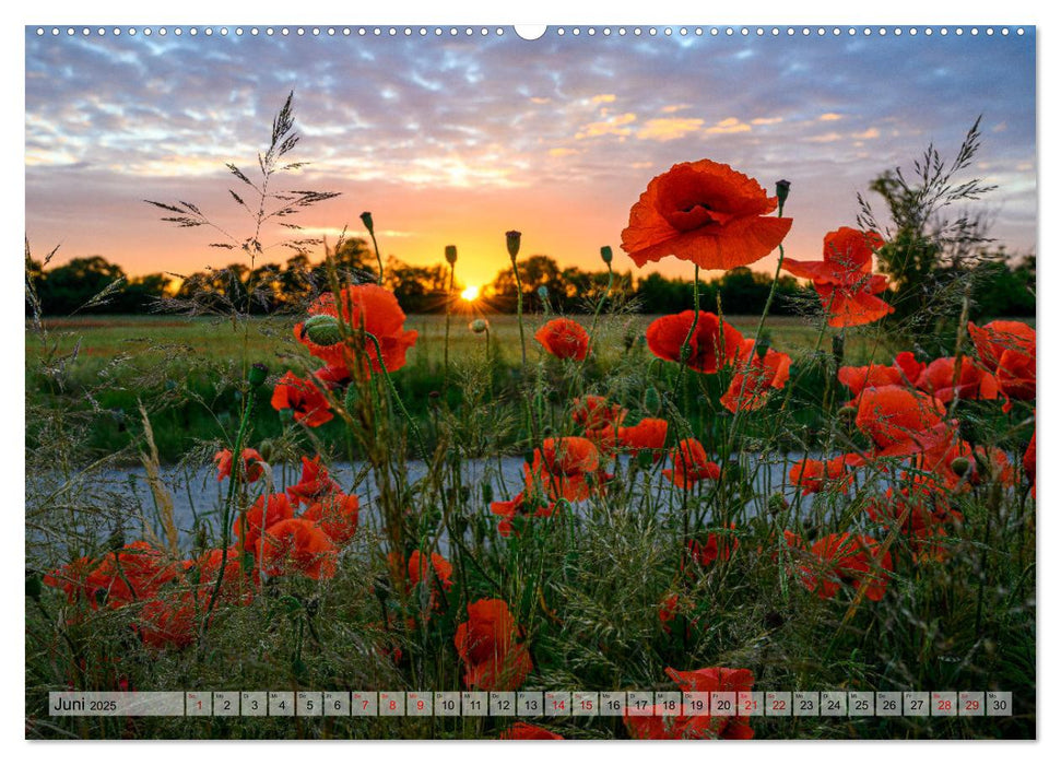 Börnicke - Historisches Angerdorf im Barnim (CALVENDO Premium Wandkalender 2025)