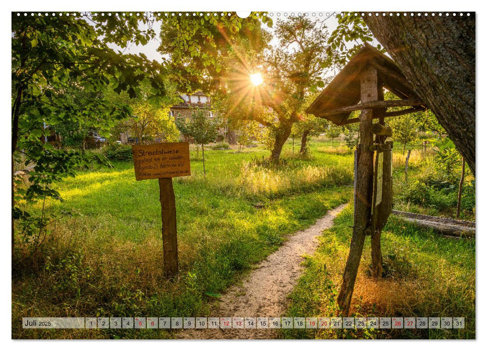 Börnicke - Historisches Angerdorf im Barnim (CALVENDO Premium Wandkalender 2025)