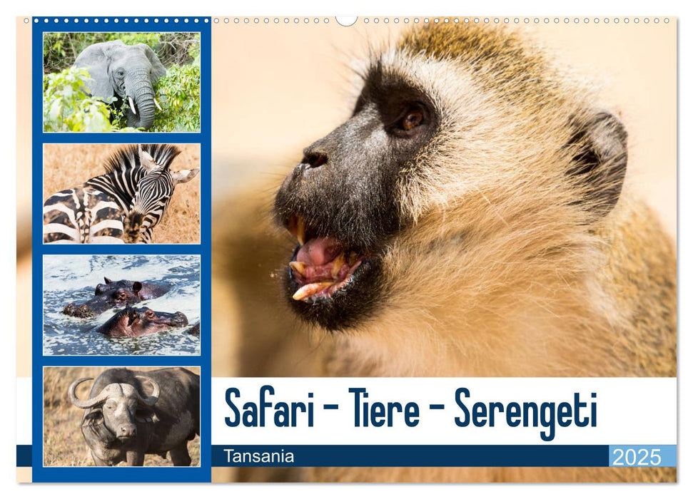 Safari - Tiere - Serengeti (CALVENDO Wandkalender 2025)