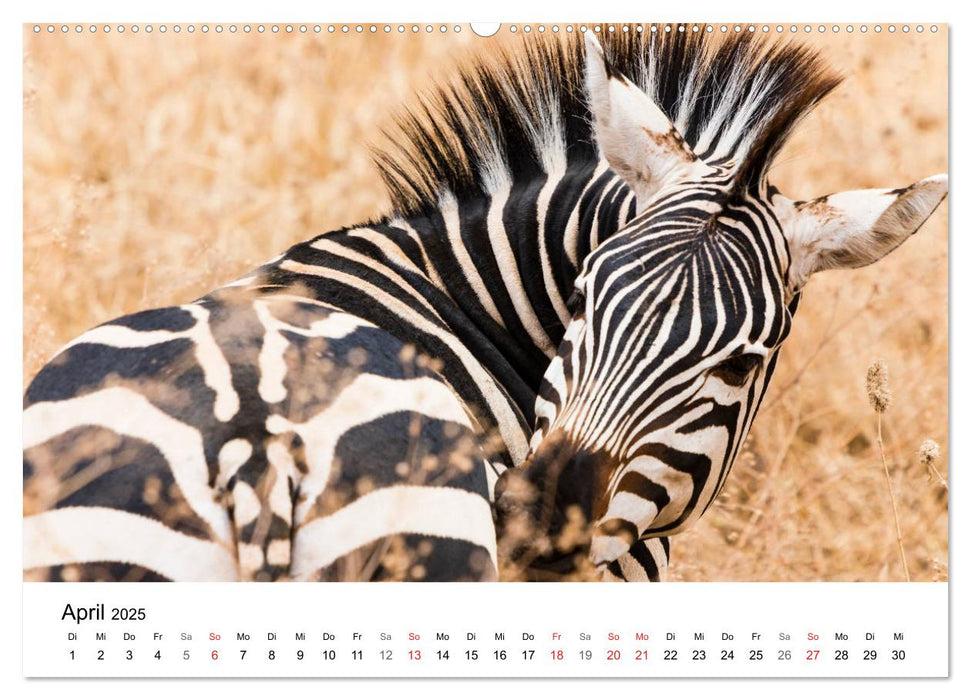 Safari - Tiere - Serengeti (CALVENDO Wandkalender 2025)