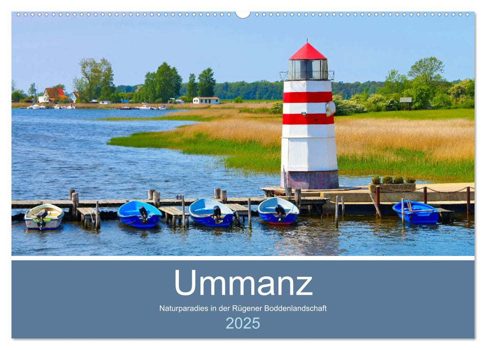 Ummanz - Naturparadies in der Rügener Boddenlandschaft (CALVENDO Wandkalender 2025)