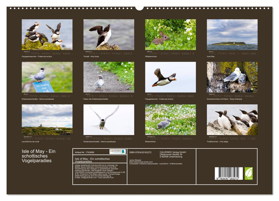 Isle of May - Ein schottisches Vogelparadies (CALVENDO Premium Wandkalender 2025)