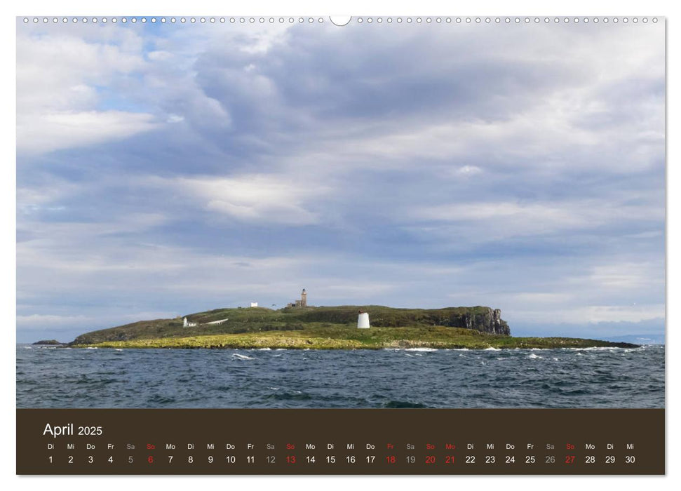 Isle of May - Ein schottisches Vogelparadies (CALVENDO Premium Wandkalender 2025)