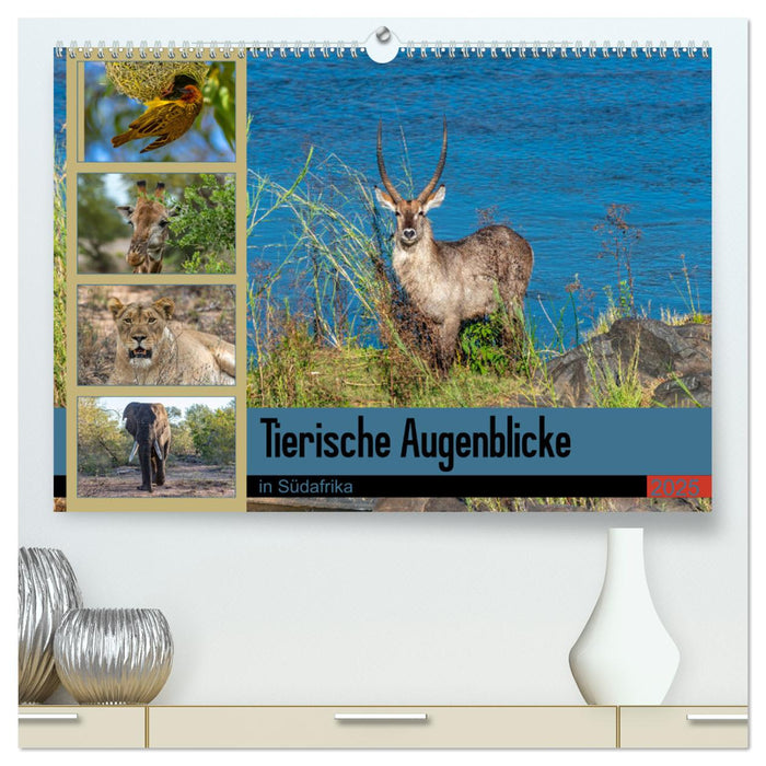 Tierische Augenblicke in Südafrika (CALVENDO Premium Wandkalender 2025)