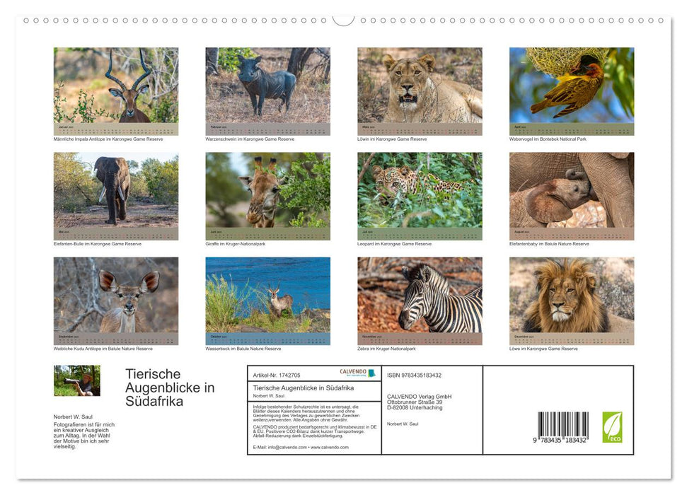 Tierische Augenblicke in Südafrika (CALVENDO Premium Wandkalender 2025)