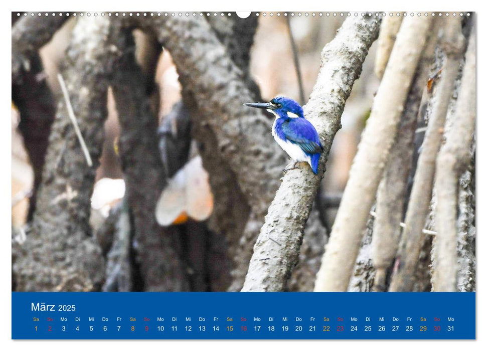 Australien, tierischer Kontinent (CALVENDO Premium Wandkalender 2025)