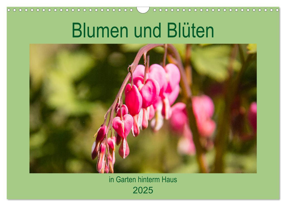 Blumen und Blüten im Garten hinterm Haus (CALVENDO Wandkalender 2025)