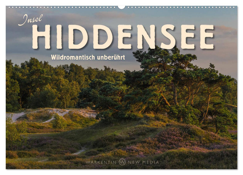 Insel Hiddensee - Wildromantisch unberührt (CALVENDO Wandkalender 2025)