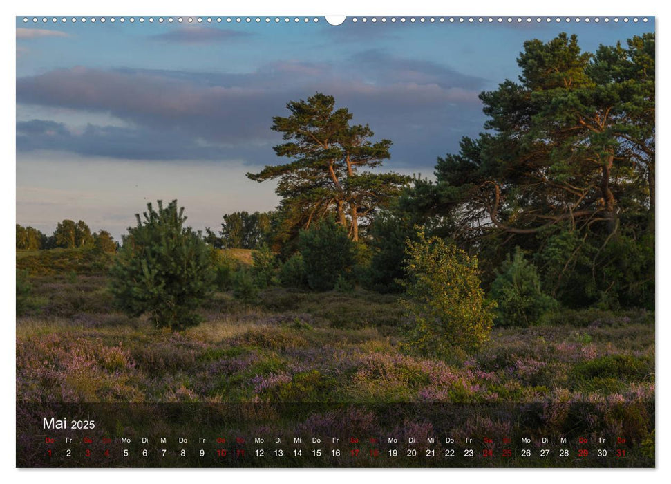 Insel Hiddensee - Wildromantisch unberührt (CALVENDO Wandkalender 2025)