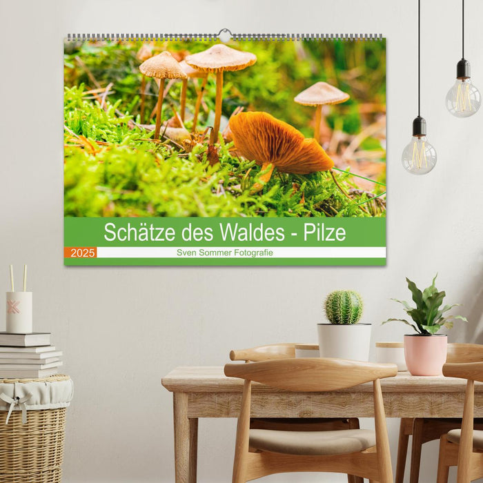 Schätze des Waldes - Pilze (CALVENDO Wandkalender 2025)