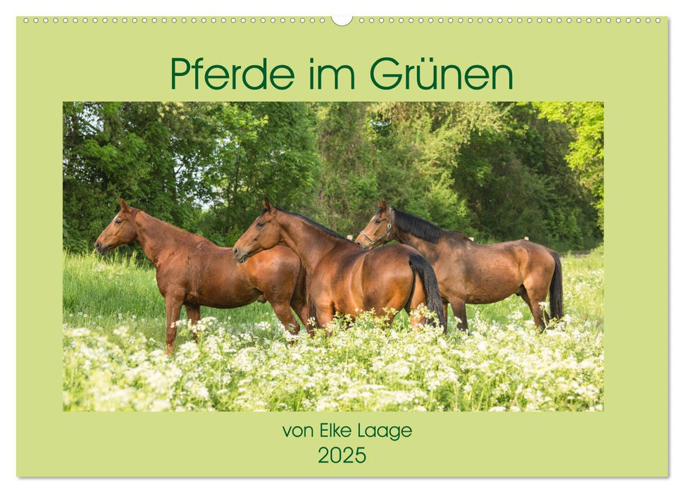 Pferde im Grünen (CALVENDO Wandkalender 2025)