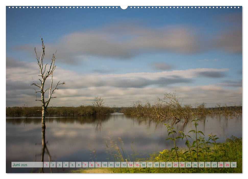 Mecklenburg Vorpommern - Wasser und Meer (CALVENDO Premium Wandkalender 2025)