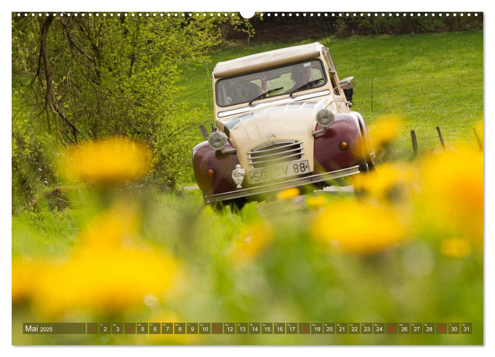 Citroën 2 CV - Zum Kippen zu schade (CALVENDO Premium Wandkalender 2025)