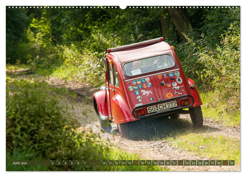 Citroën 2 CV - Zum Kippen zu schade (CALVENDO Premium Wandkalender 2025)