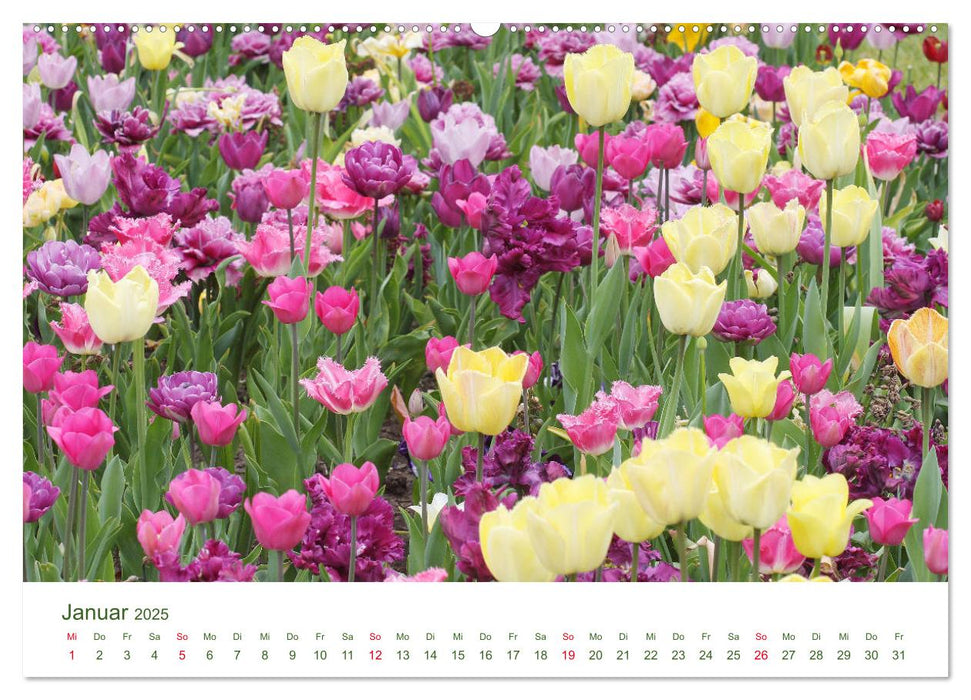 Gartenlust im Frühling und Sommer (CALVENDO Premium Wandkalender 2025)