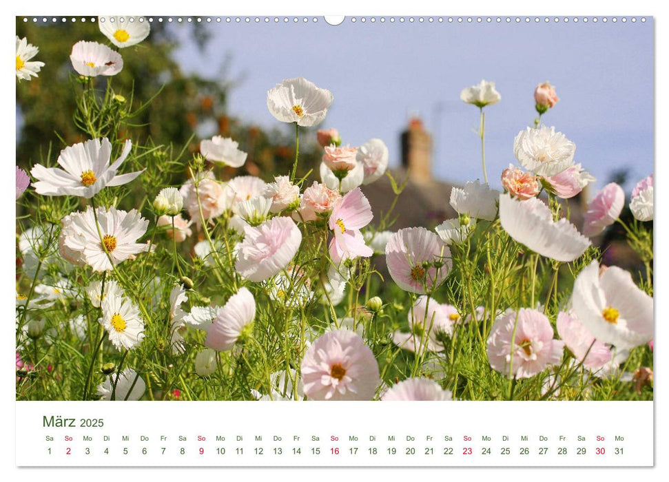 Gartenlust im Frühling und Sommer (CALVENDO Premium Wandkalender 2025)