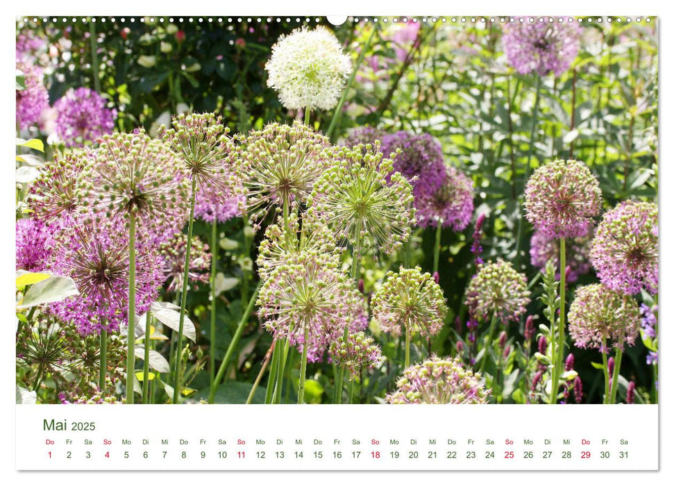 Gartenlust im Frühling und Sommer (CALVENDO Premium Wandkalender 2025)