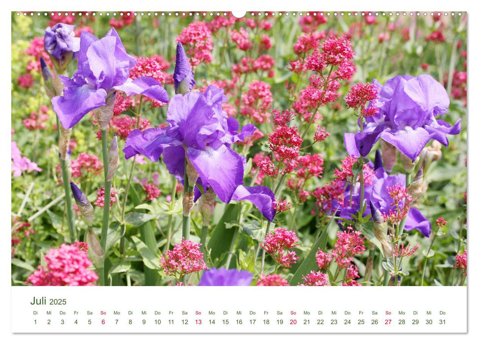 Gartenlust im Frühling und Sommer (CALVENDO Premium Wandkalender 2025)