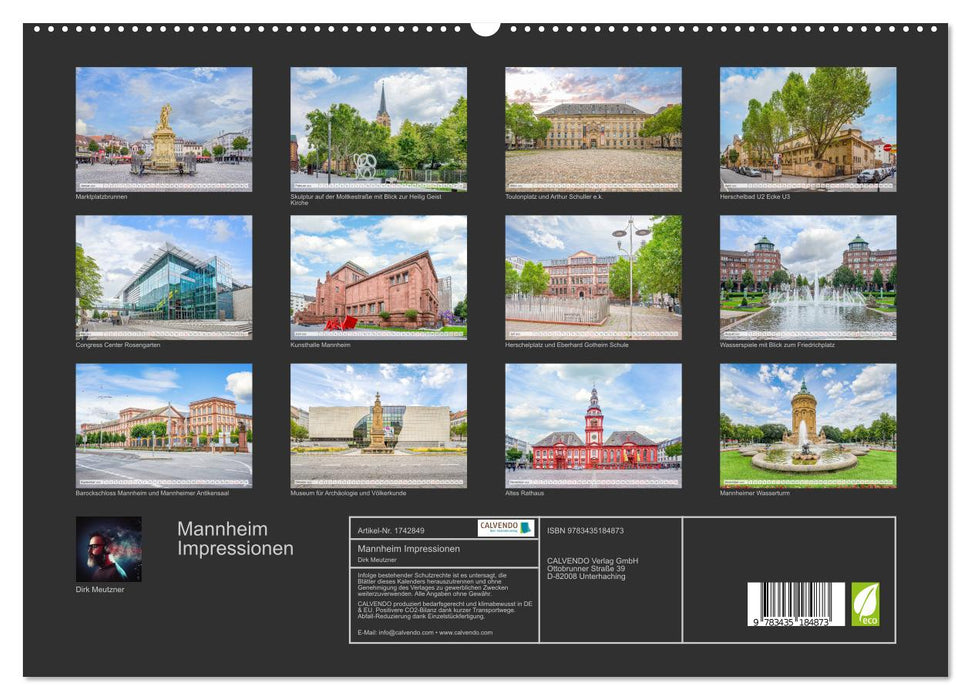 Mannheim Impressionen (CALVENDO Premium Wandkalender 2025)