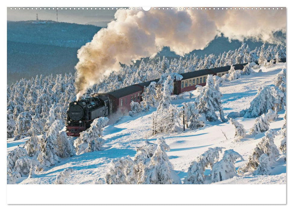 Harz Natur pur und Weltkulturerbe (CALVENDO Wandkalender 2025)