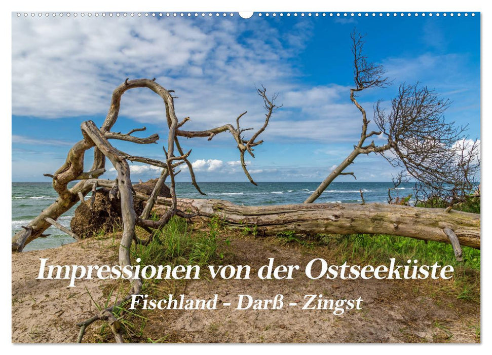 Impressionen von der Ostsee Fischland-Darß-Zingst (CALVENDO Wandkalender 2025)