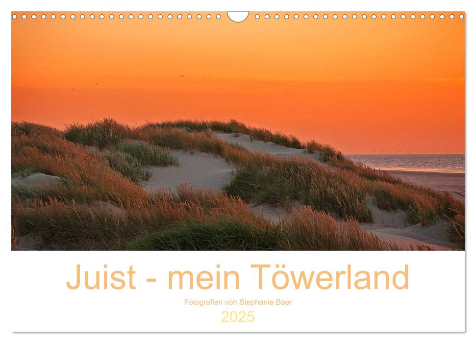 Juist - mein Töwerland (CALVENDO Wandkalender 2025)