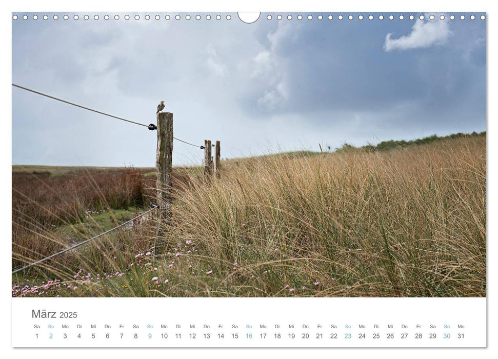 Juist - mein Töwerland (CALVENDO Wandkalender 2025)