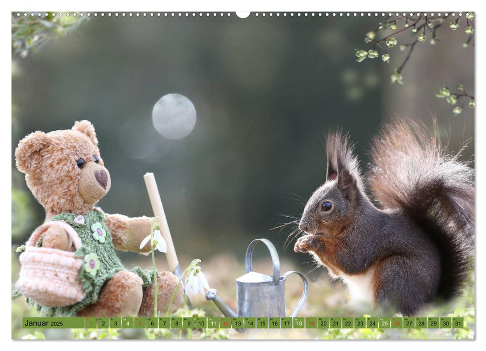 Eichhörnchen - Abenteuer mit Freund Teddy (CALVENDO Premium Wandkalender 2025)