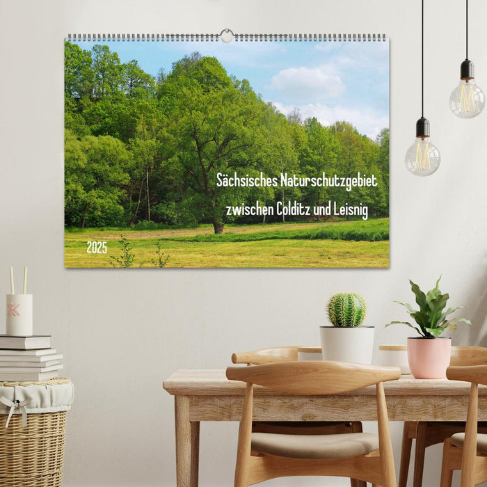 Sächsisches Naturschutzgebiet zwischen Colditz und Leisnig (CALVENDO Wandkalender 2025)