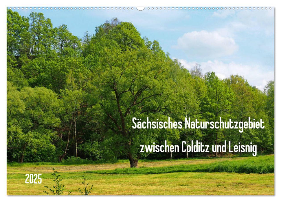 Sächsisches Naturschutzgebiet zwischen Colditz und Leisnig (CALVENDO Wandkalender 2025)