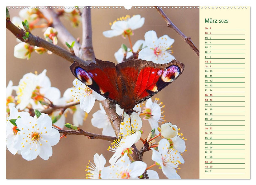 Sächsisches Naturschutzgebiet zwischen Colditz und Leisnig (CALVENDO Wandkalender 2025)