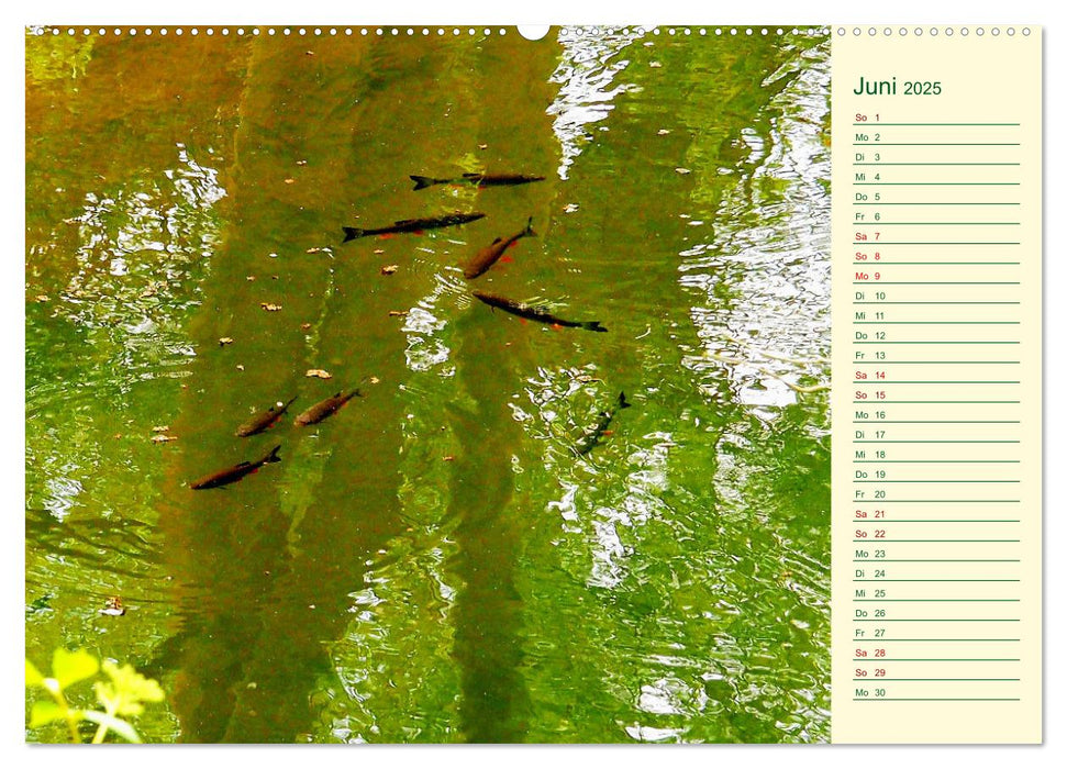 Sächsisches Naturschutzgebiet zwischen Colditz und Leisnig (CALVENDO Wandkalender 2025)